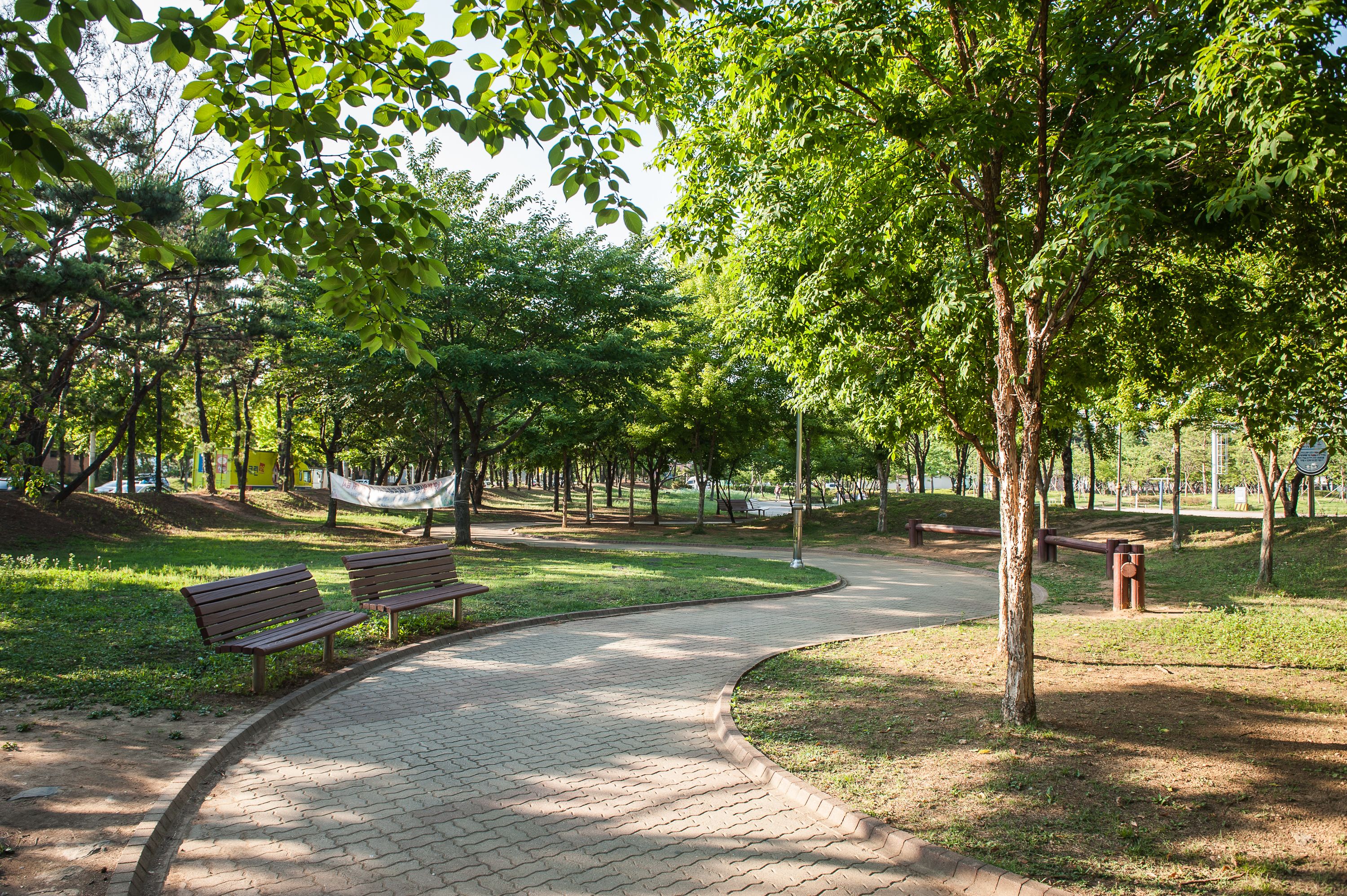 Un sendero pavimentado en un parque con bancos y árboles.
