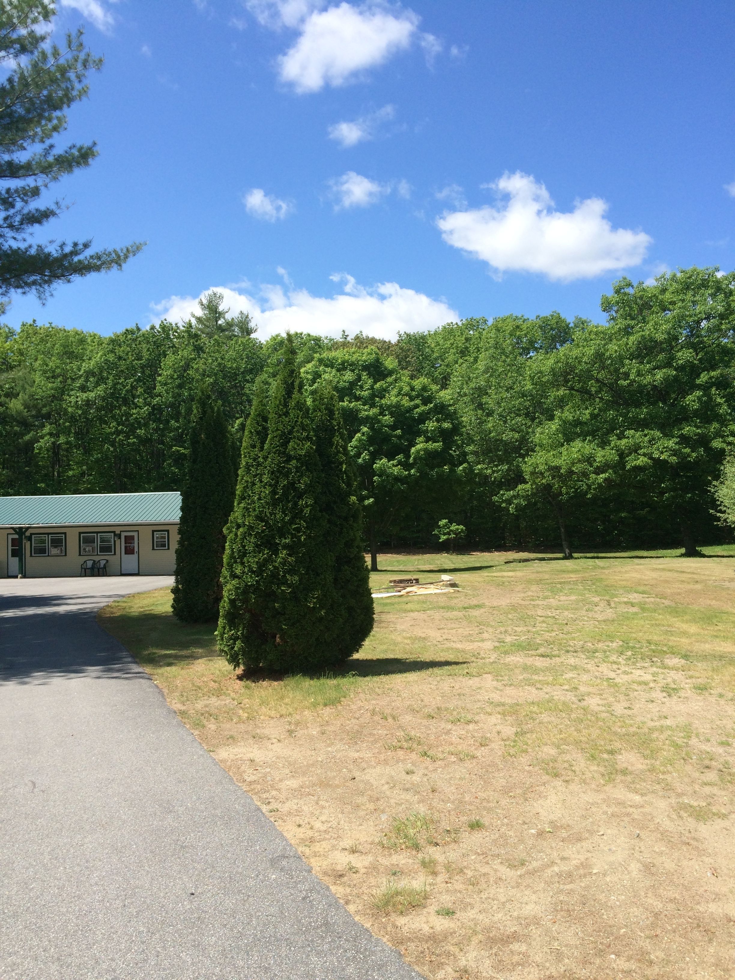 A building with a green roof, a paved driveway, and a grassy area with trees.