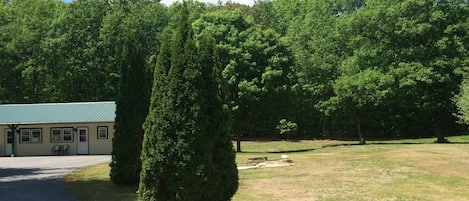 A building with a green roof, a paved driveway, and a grassy area with trees.