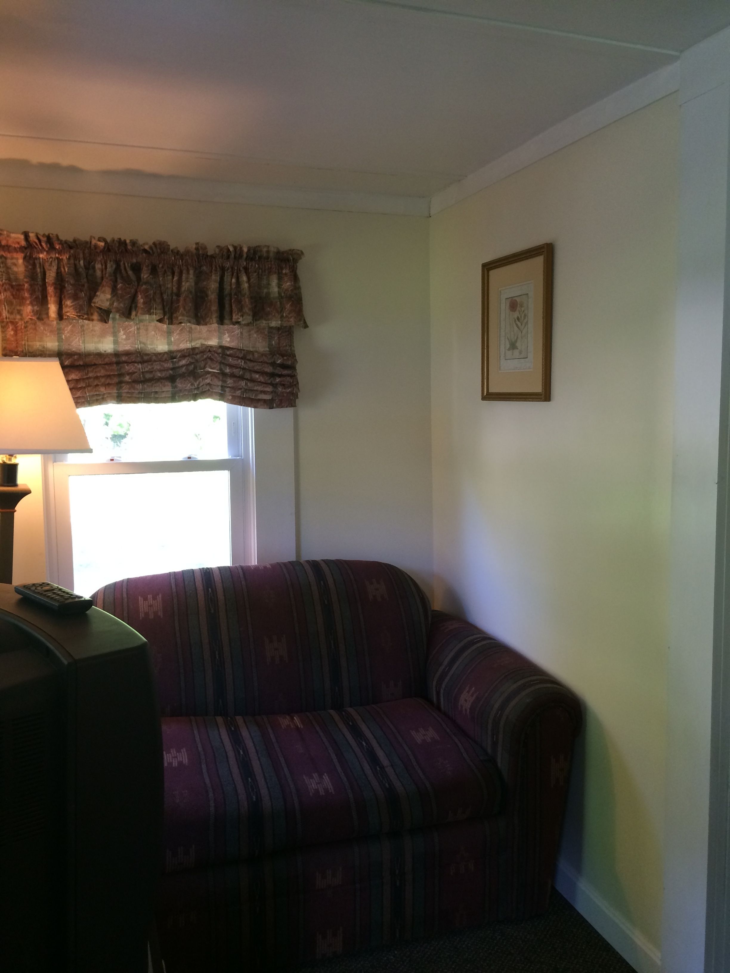 A living room with a sofa, a lamp, and a framed picture on the wall.
