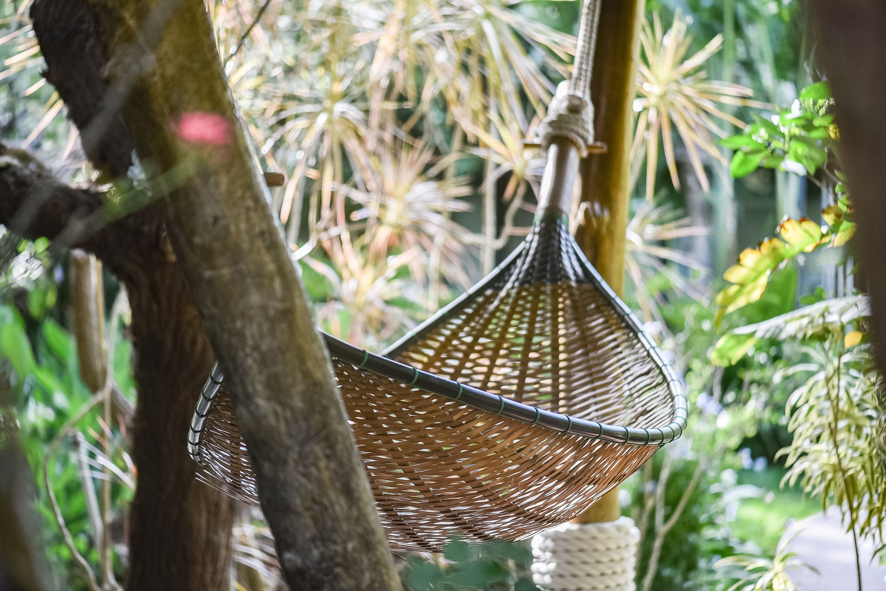 A wicker hanging chair suspended from a tree in a lush garden.