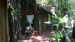 A wooden structure with a porch, surrounded by lush greenery. - Khao Sok Tree House (Phanom)