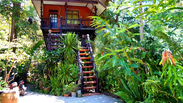 A wooden house with a sign reading "Khao Sok Free House Resort" surrounded by lush greenery. - Khao Sok Tree House (Phanom)