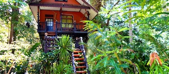 Khao Sok Tree House