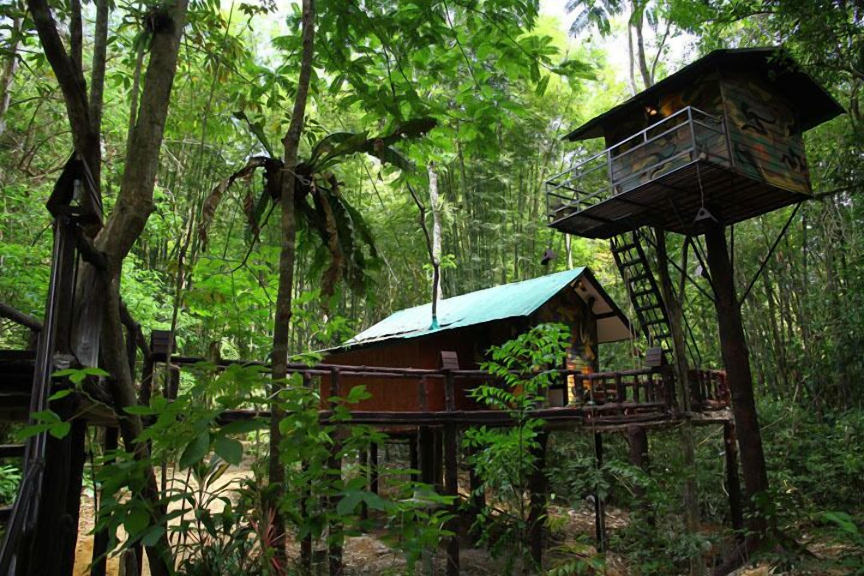 A treehouse with a metal balcony and a wooden deck, surrounded by dense forest.