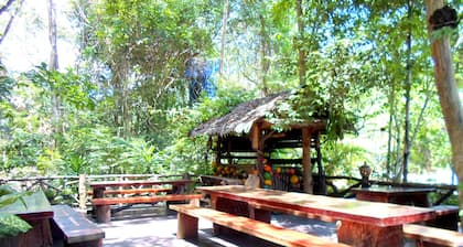 Khao Sok Tree House