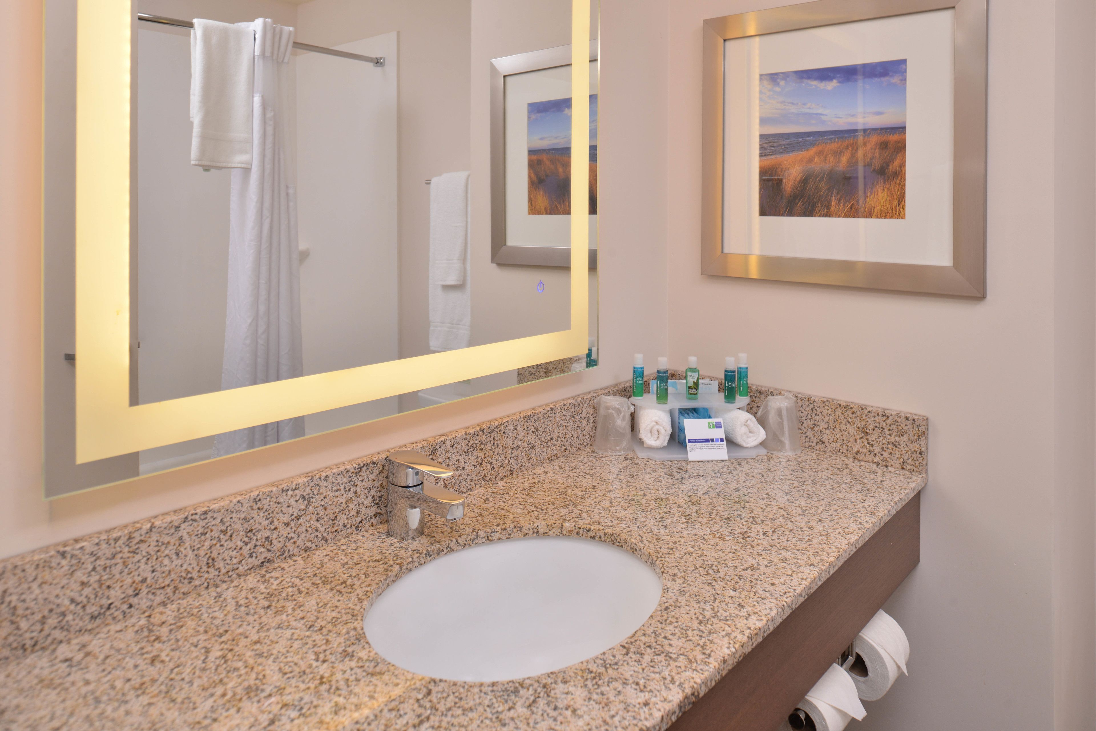 suite, 1 king bed, accessible (comm, tub) | 1 bedroom, hypo-allergenic bedding, desk, blackout curtains