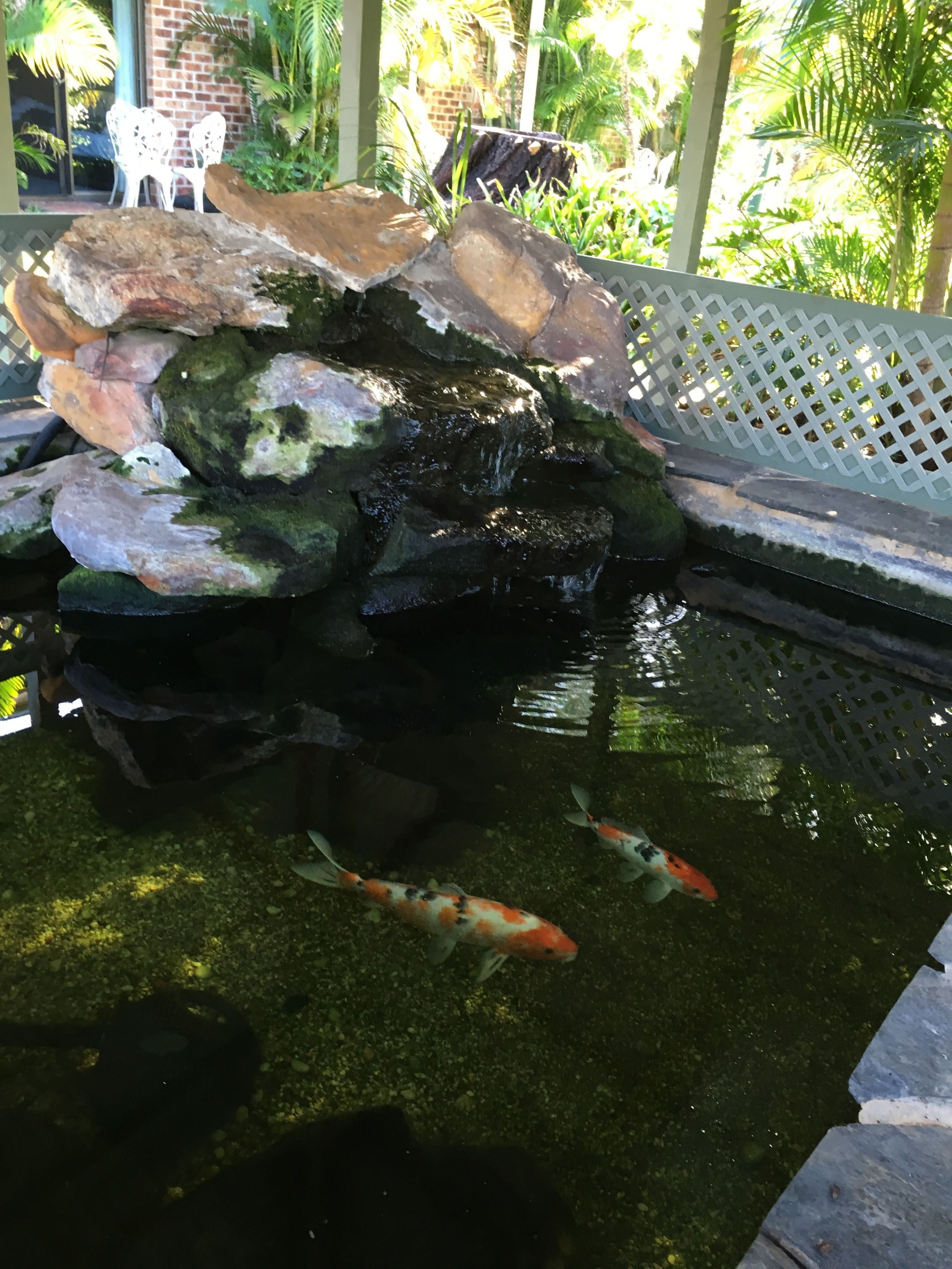 Foto - The Select Inn Gosford