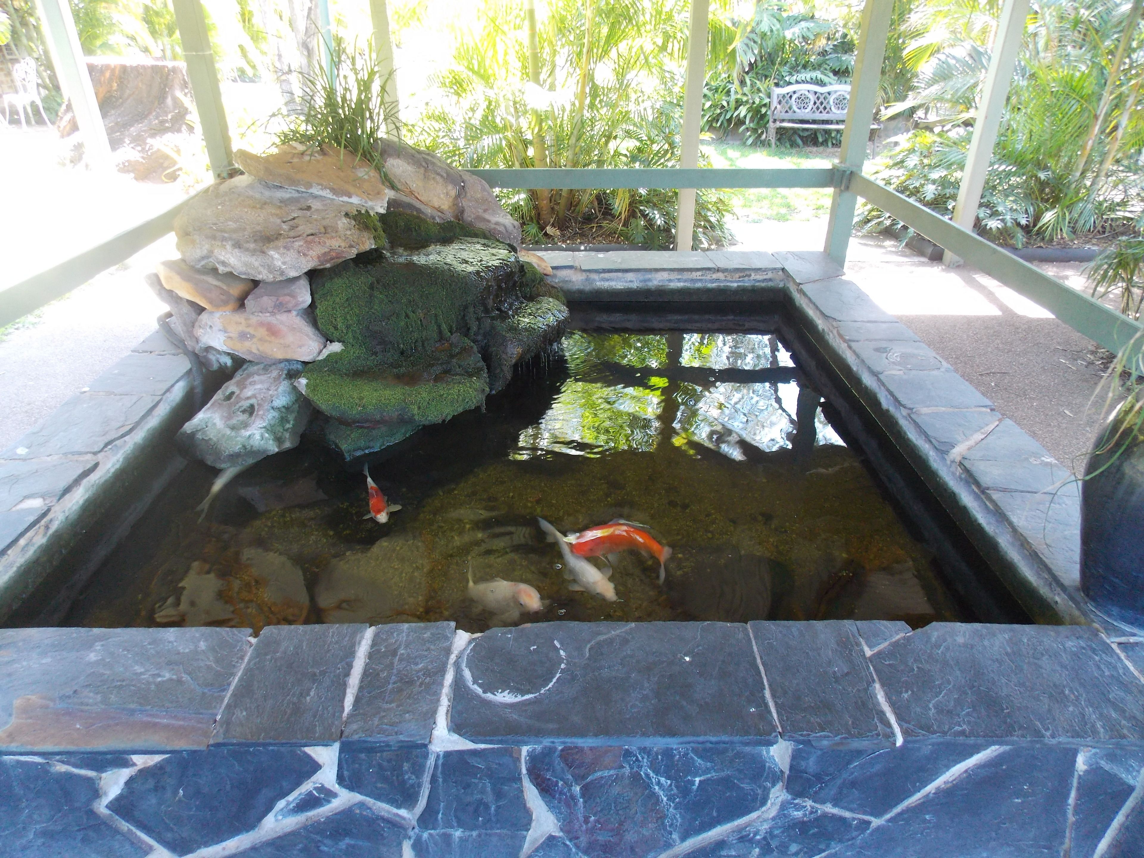 Photo - The Select Inn Gosford
