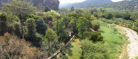 A lush green landscape with a river, dense trees, and a distant mountain range.