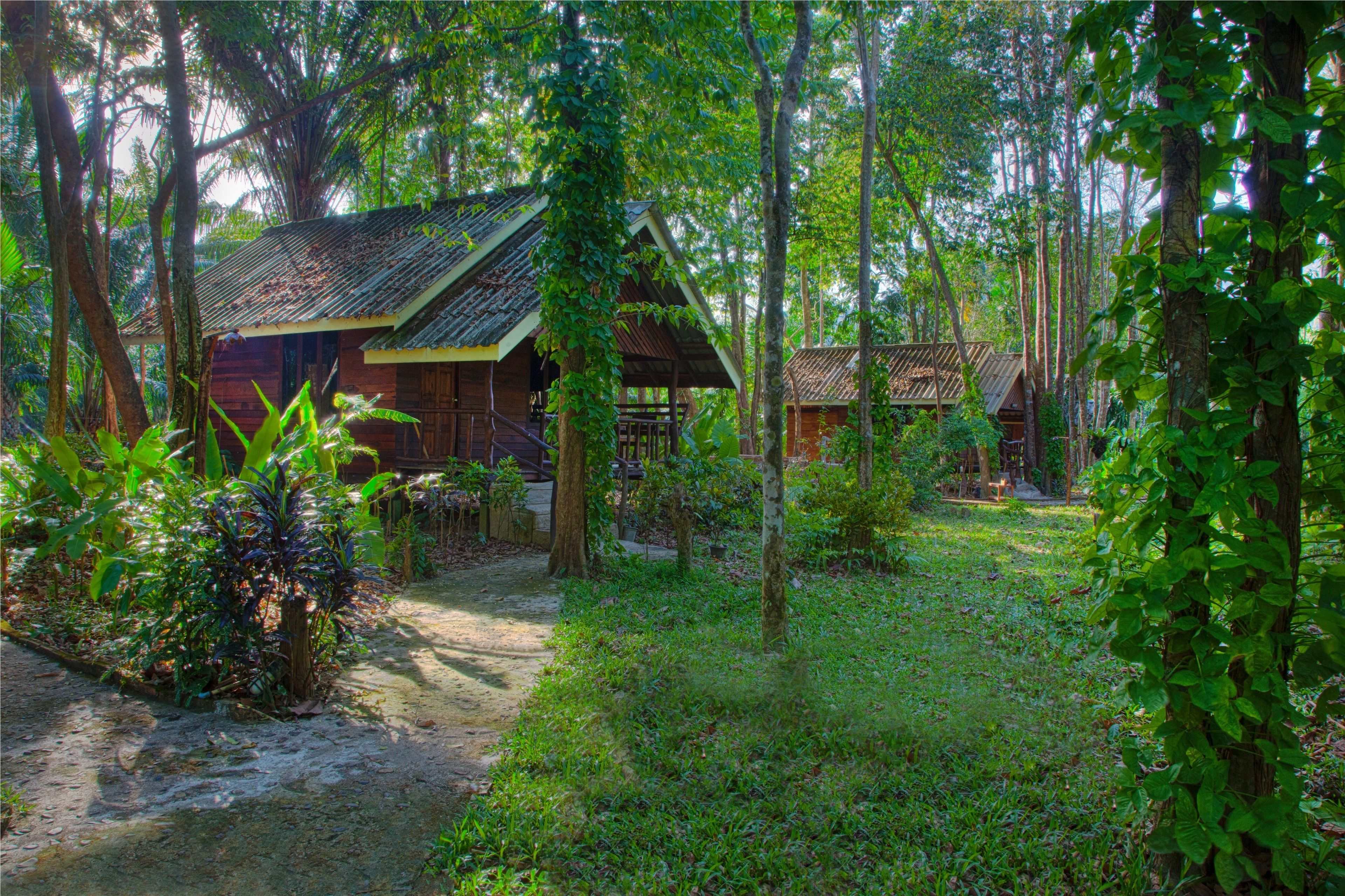 A rustic wooden cabin surrounded by dense tropical foliage.