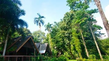 Deluxe Cabin, Balcony, Park View | Individually decorated, individually furnished, desk, laptop workspace