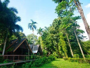 Deluxe Cabin, Balcony, Park View | Individually decorated, individually furnished, desk, laptop workspace - Khao Sok Riverside Cottage (Phanom)