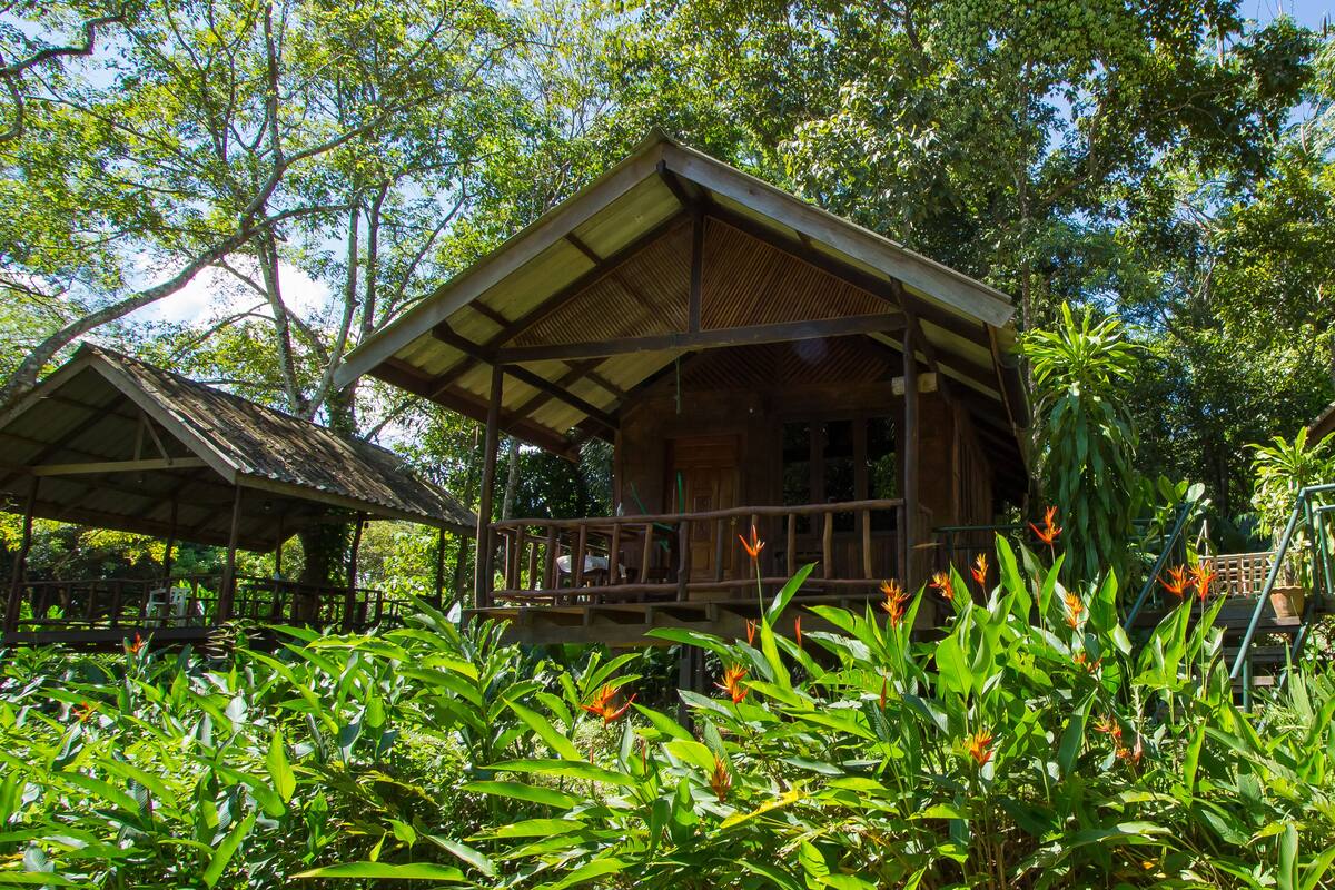 A wooden cabin with a porch, surrounded by lush greenery and trees.