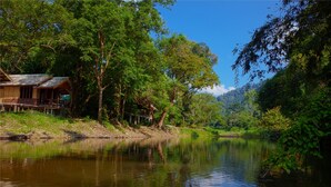 A wooden house by a calm river, surrounded by lush greenery and trees. - Khao Sok Riverside Cottage (Phanom)