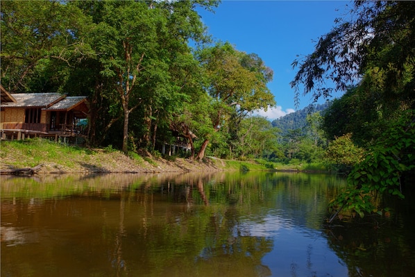 A wooden house by a calm river, surrounded by lush greenery and trees.