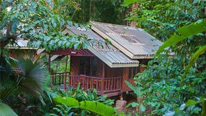 A wooden house surrounded by dense tropical foliage. - Khao Sok Riverside Cottage (Phanom)