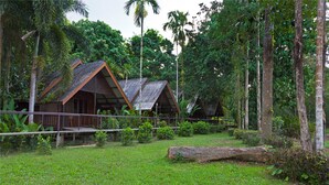 A rustic wooden cabin with a thatched roof, surrounded by lush greenery and tall trees.
