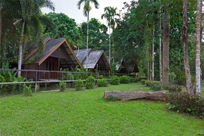 A rustic wooden cabin with a thatched roof, surrounded by lush greenery and tall trees.