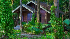 A wooden cabin surrounded by dense tropical foliage.