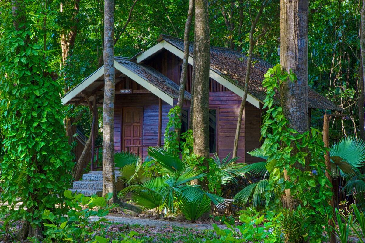 A wooden cabin surrounded by dense tropical foliage.