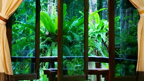 A window with curtains, a wooden frame, and a view of dense green foliage. - Khao Sok Riverside Cottage (Phanom)