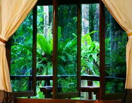 Vista desde la habitación