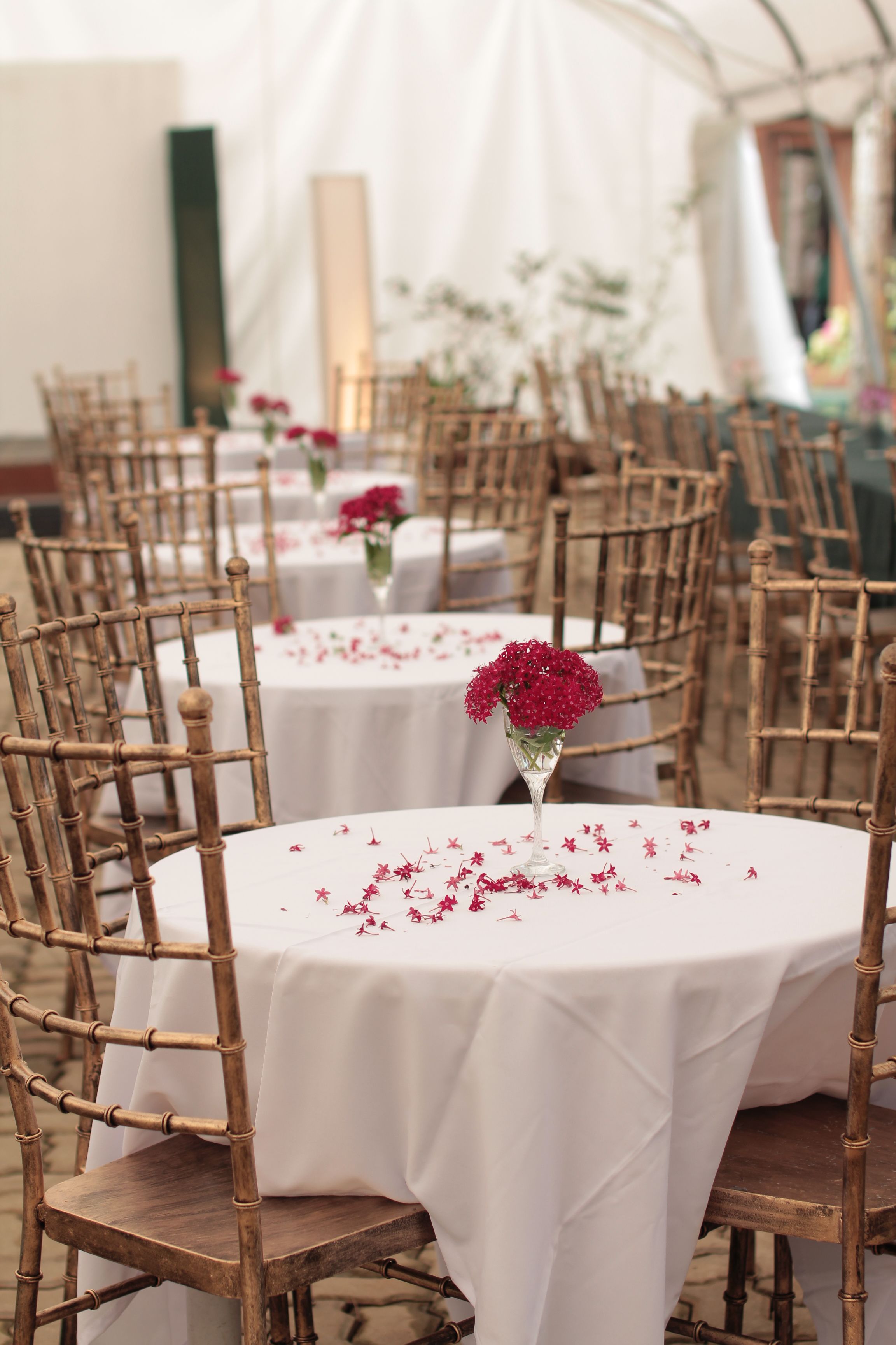 breakfast, lunch, dinner served; international cuisine