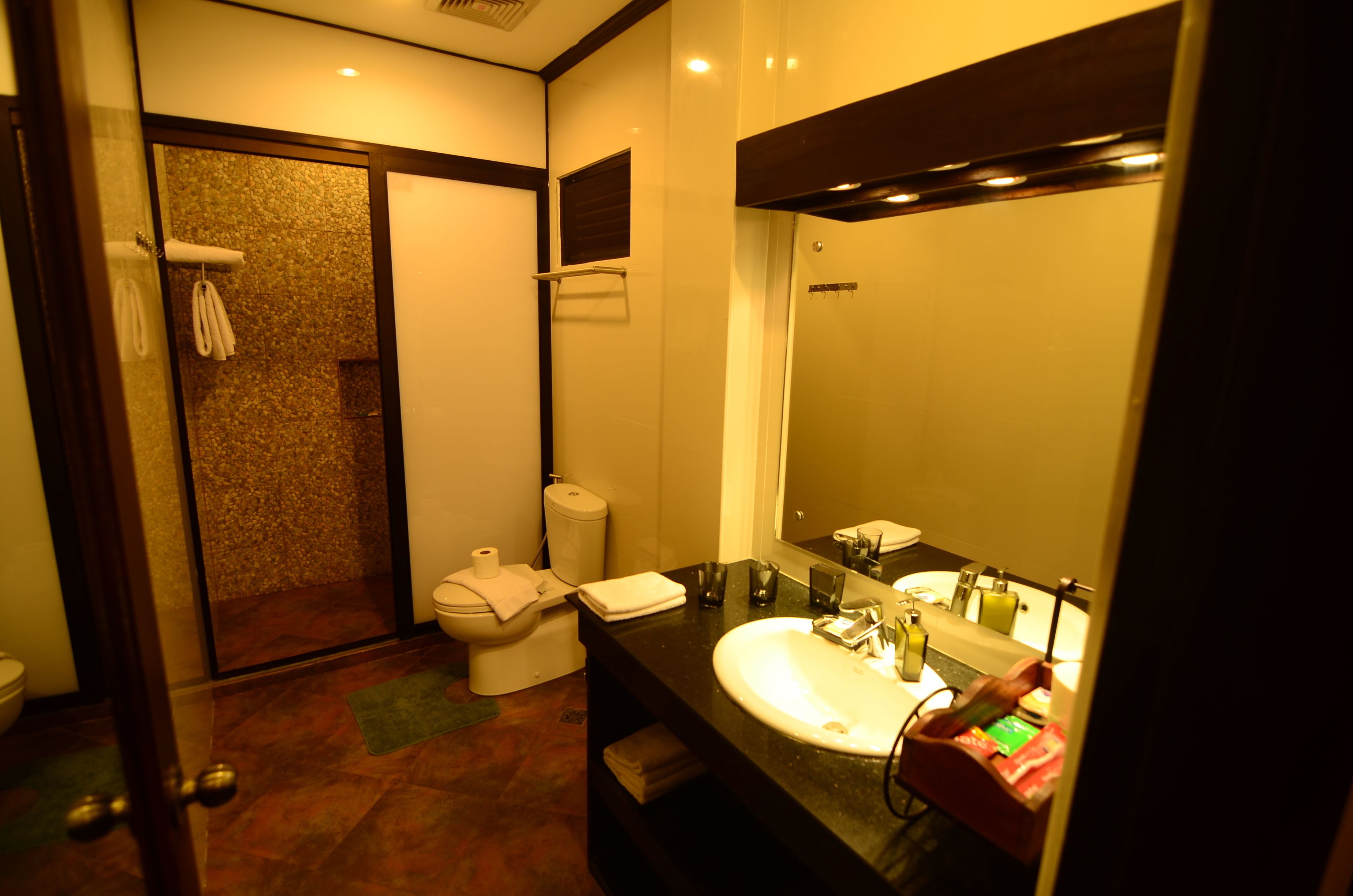 standard room | bathroom shower