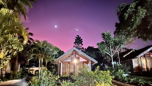 A wooden cabin with a thatched roof surrounded by lush greenery and a small pond. - MG Cocomo Resort Vanuatu (Port Vila)
