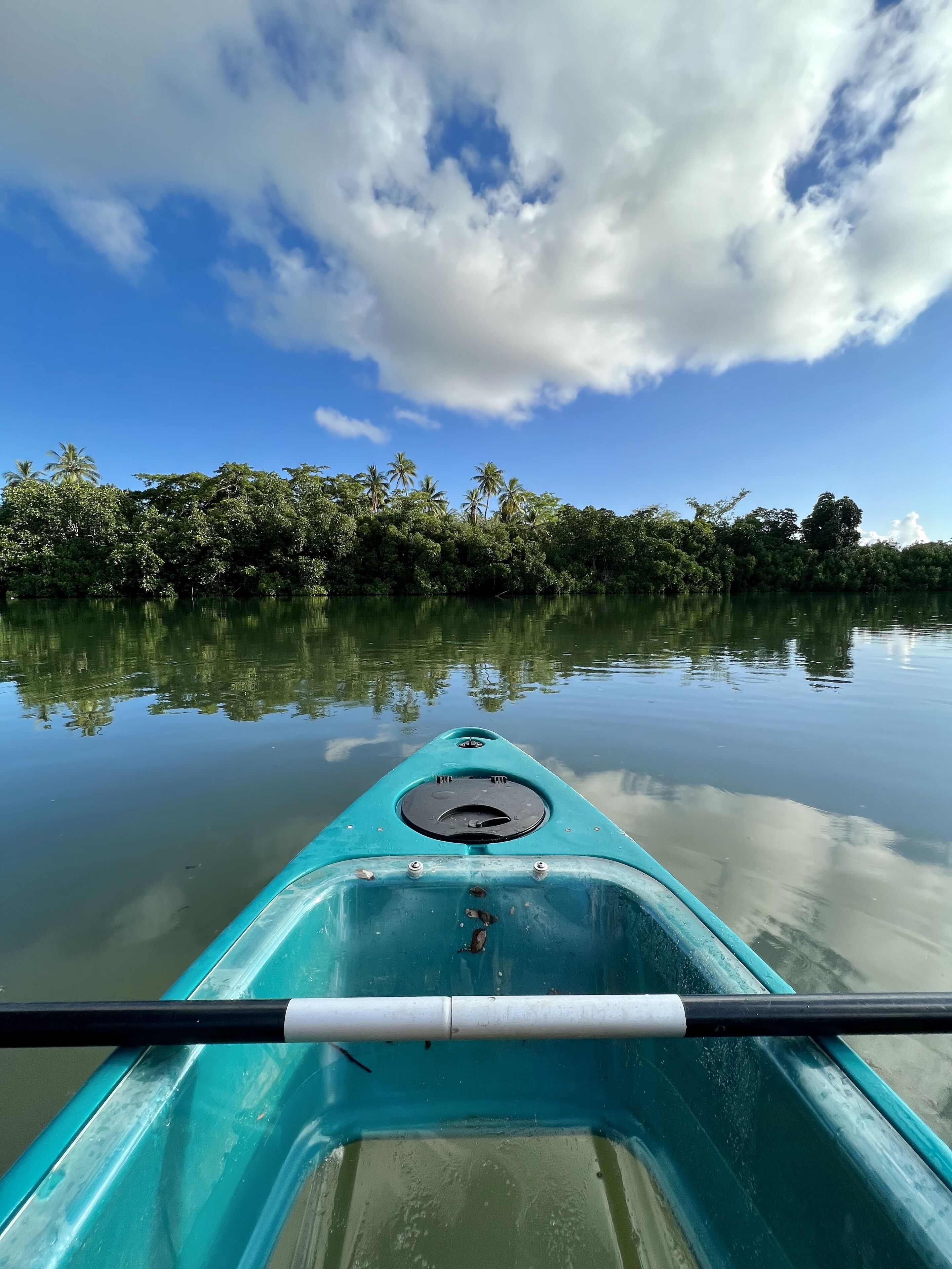 Un kayak sobre aguas tranquilas, con una orilla boscosa y cielo despejado.