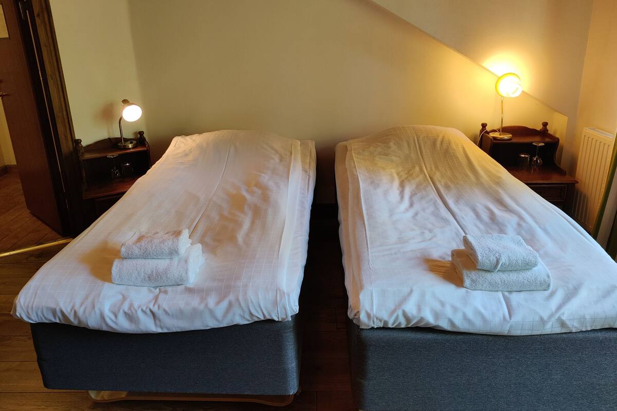 Chambre économique double | Fer et planche à repasser, accès au Wi-Fi (inclus), décor unique