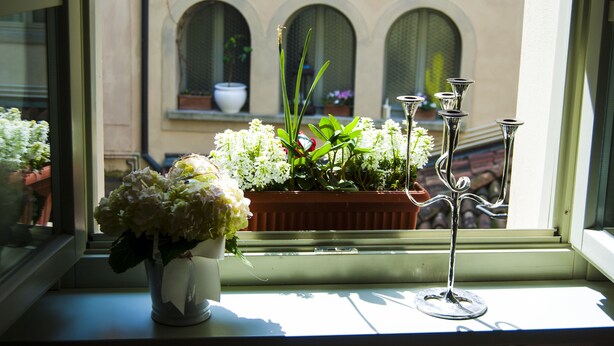 A window with a potted plant and a candle holder. - Al San Lorenzo (Bergamo)