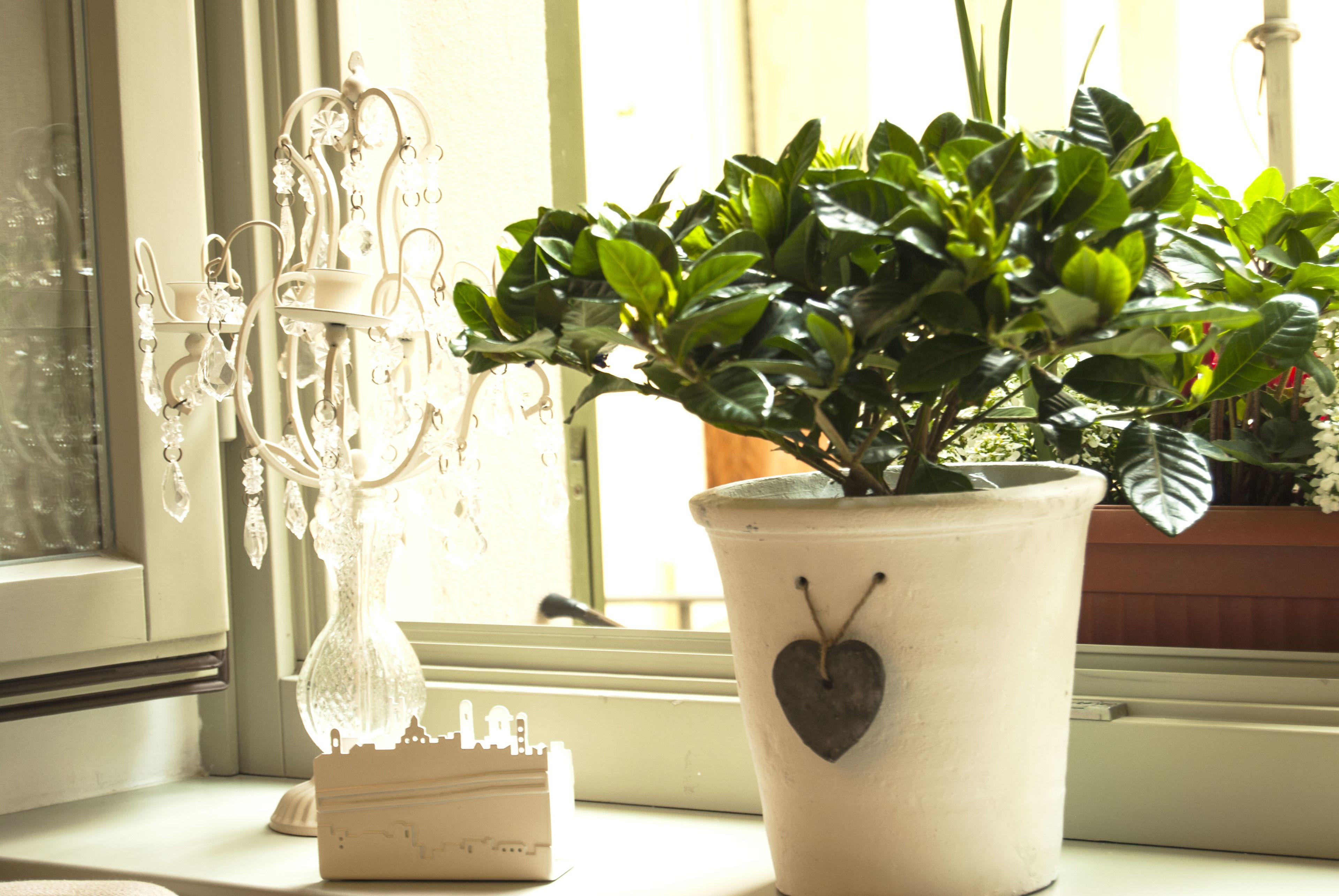 Foto - Al San Lorenzo