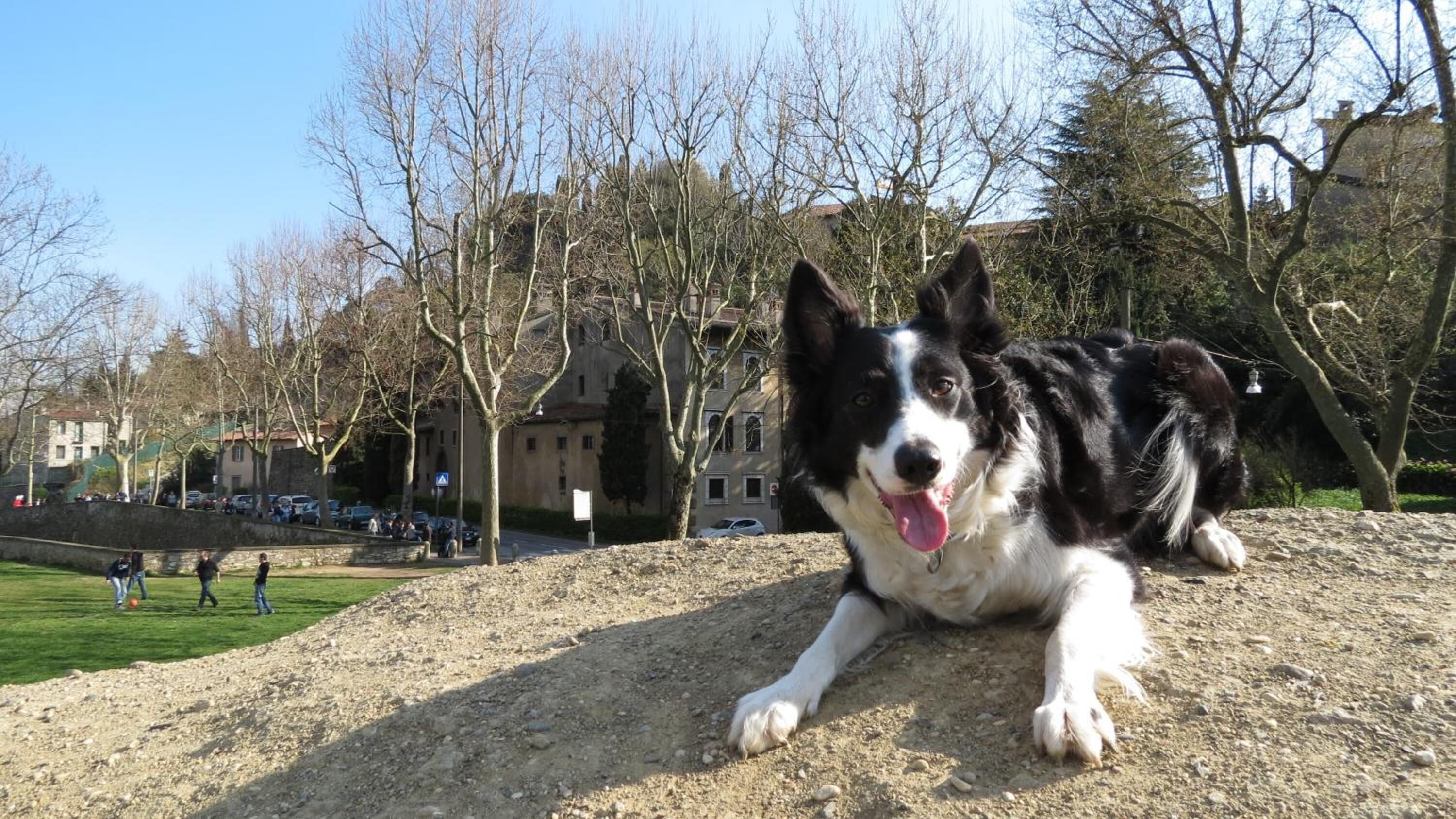 Foto - Al San Lorenzo