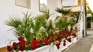 A hotel entrance with a white facade, a metal signboard, and a series of planters with red flowers and green foliage. - Hotel Sette Note (Silvi)