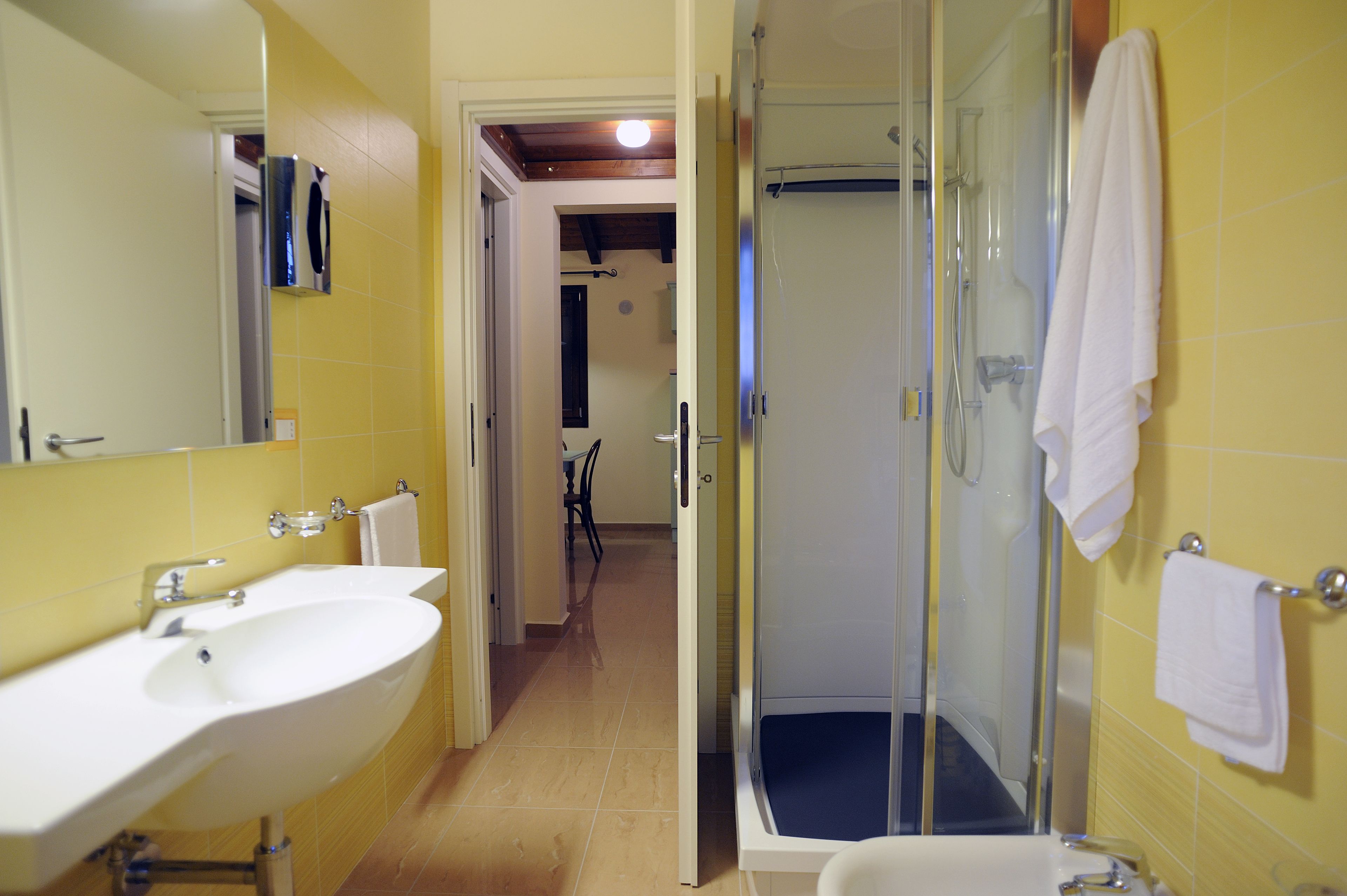 A bathroom with two sinks, a shower, and a mirror.