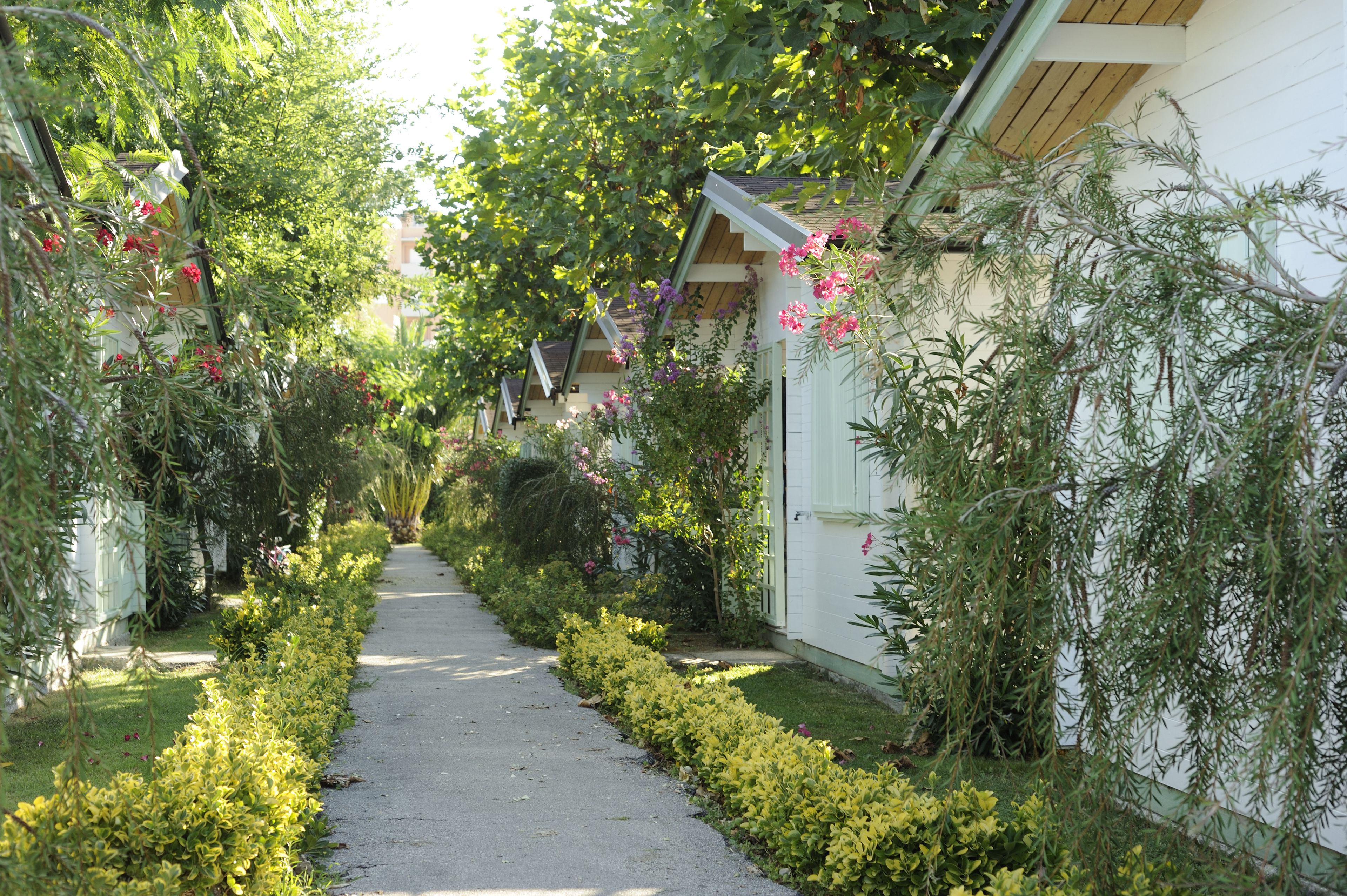 Vue depuis l’hébergement