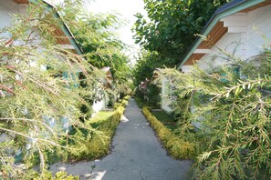 A narrow pathway flanked by neatly trimmed hedges and trees, leading to a row of white buildings with green roofs.