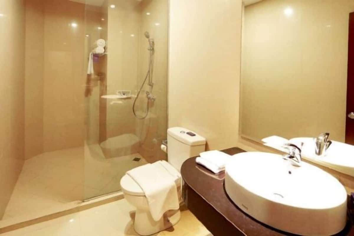 Amenidades de baño gratuitas, secadora de cabello, bidet, toallas