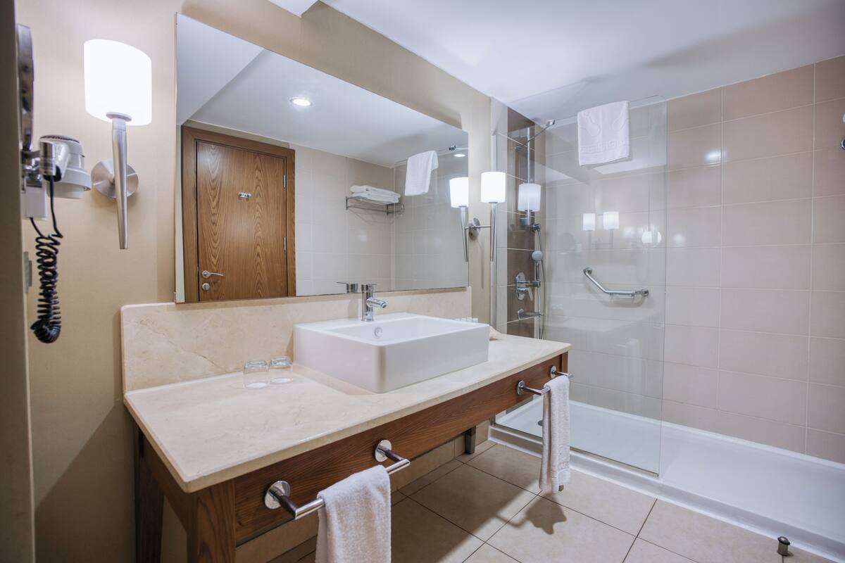 Deluxe Room | Bathroom | Shower, free toiletries, hair dryer, bathrobes