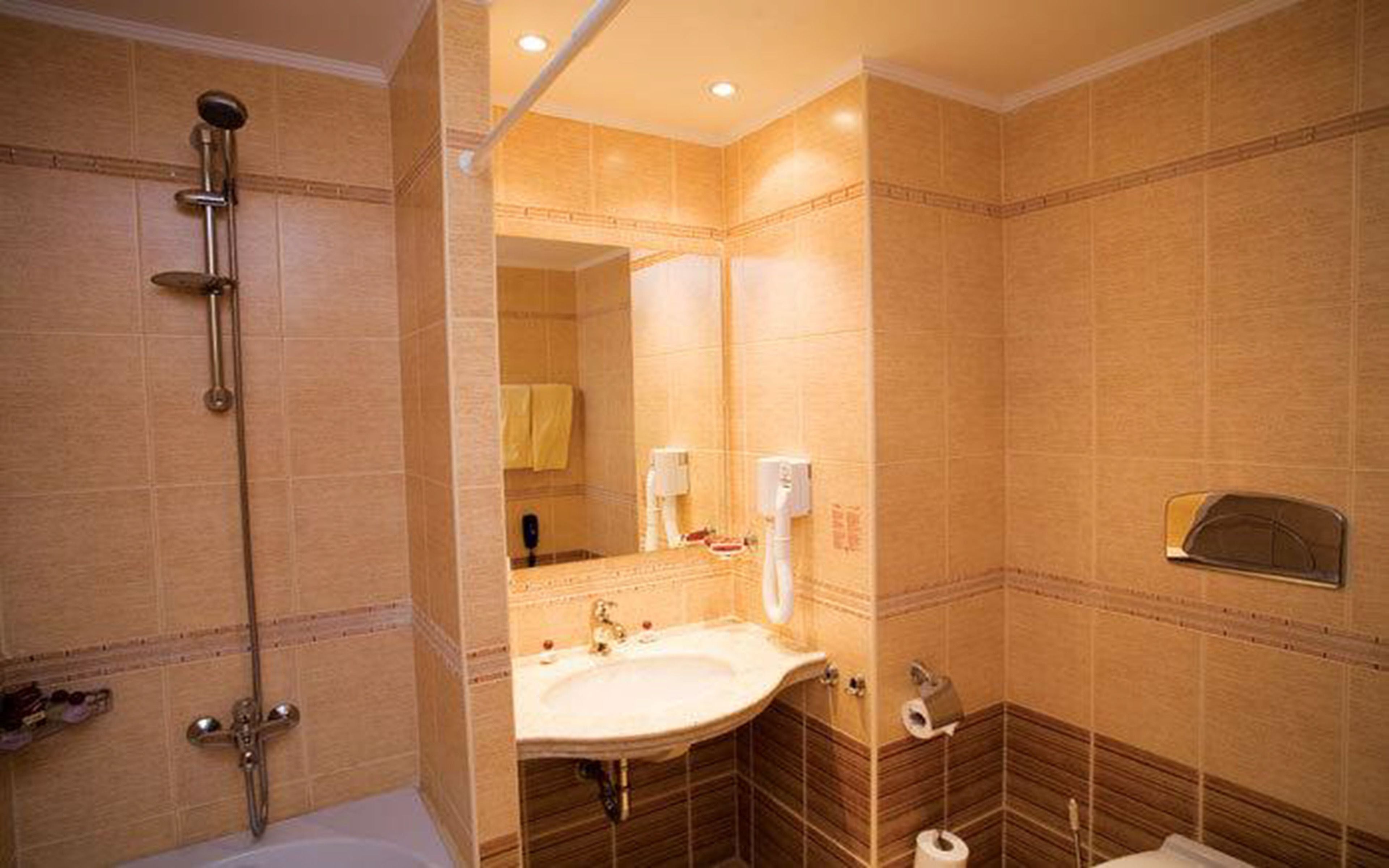 combined shower/bathtub, free toiletries, hair dryer, towels