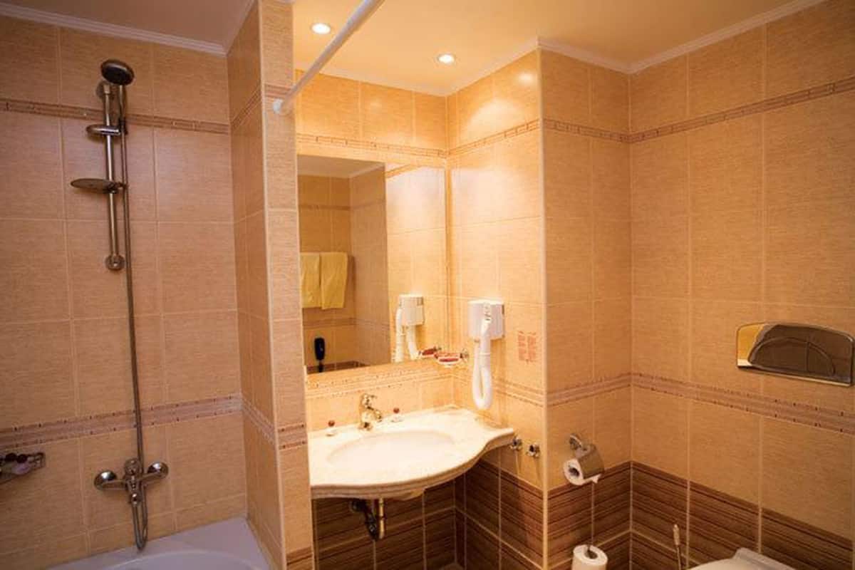 combined shower/bathtub, free toiletries, hair dryer, towels