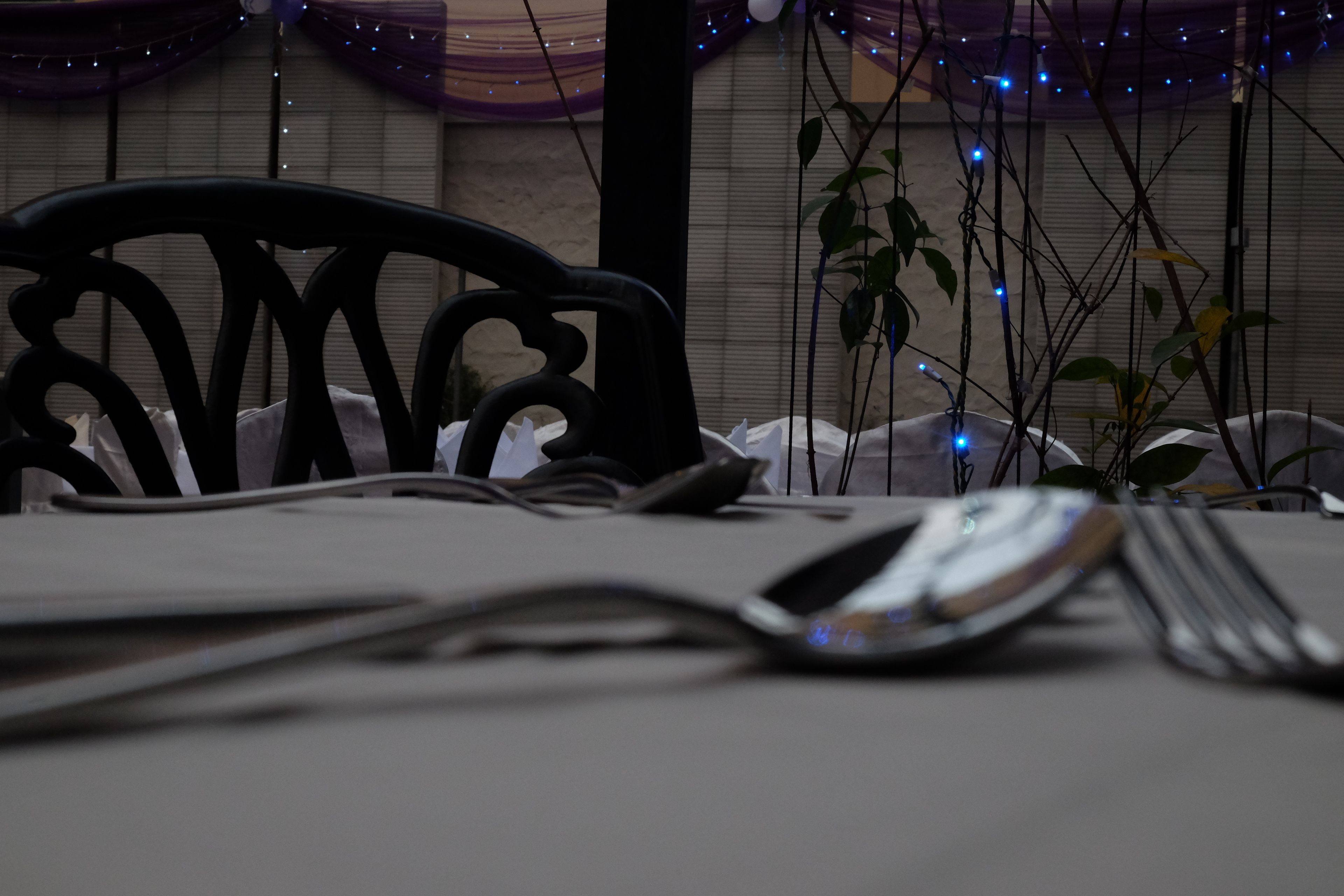 A dining table with a chair, a smartphone, and a plant.