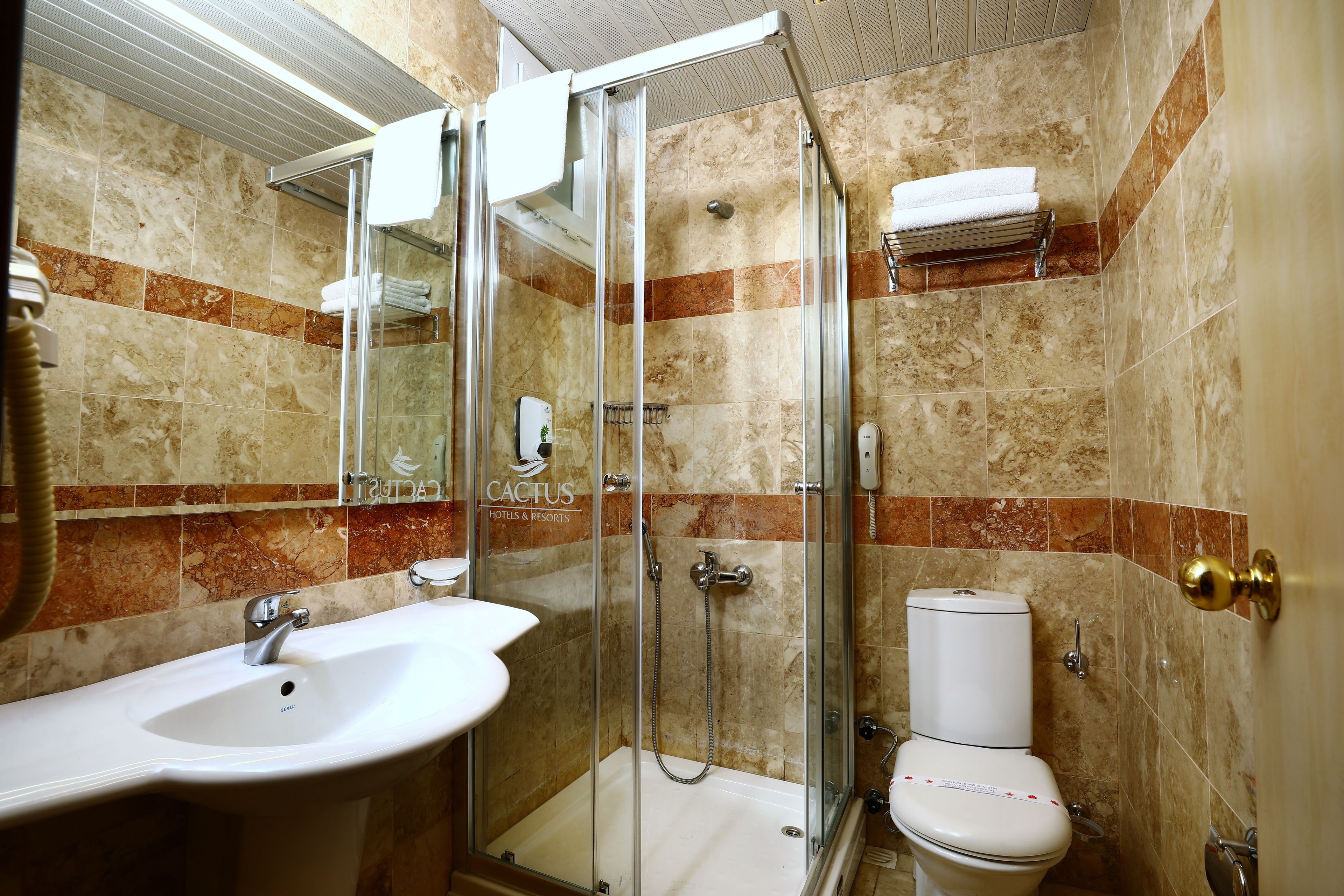 A bathroom with a glass-enclosed shower, a white sink, and a toilet.