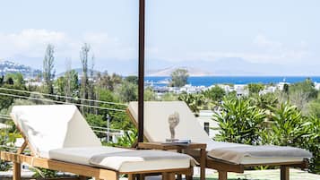 Outdoor pool, sun loungers
