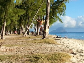A beach with trees, a person hanging from a tree, and a clear view of the ocean. - Krishangel Beach Apartment (Flic-en-Flac)