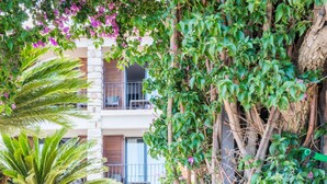 A pathway lined with greenery, a palm tree, and a decorative post. - Hôtel Shegara (Porto-Vecchio)