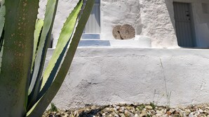 A white building with a round tower and a window, surrounded by a white wall and a cactus plant. - The Windmill Kimolos (Kimolos)