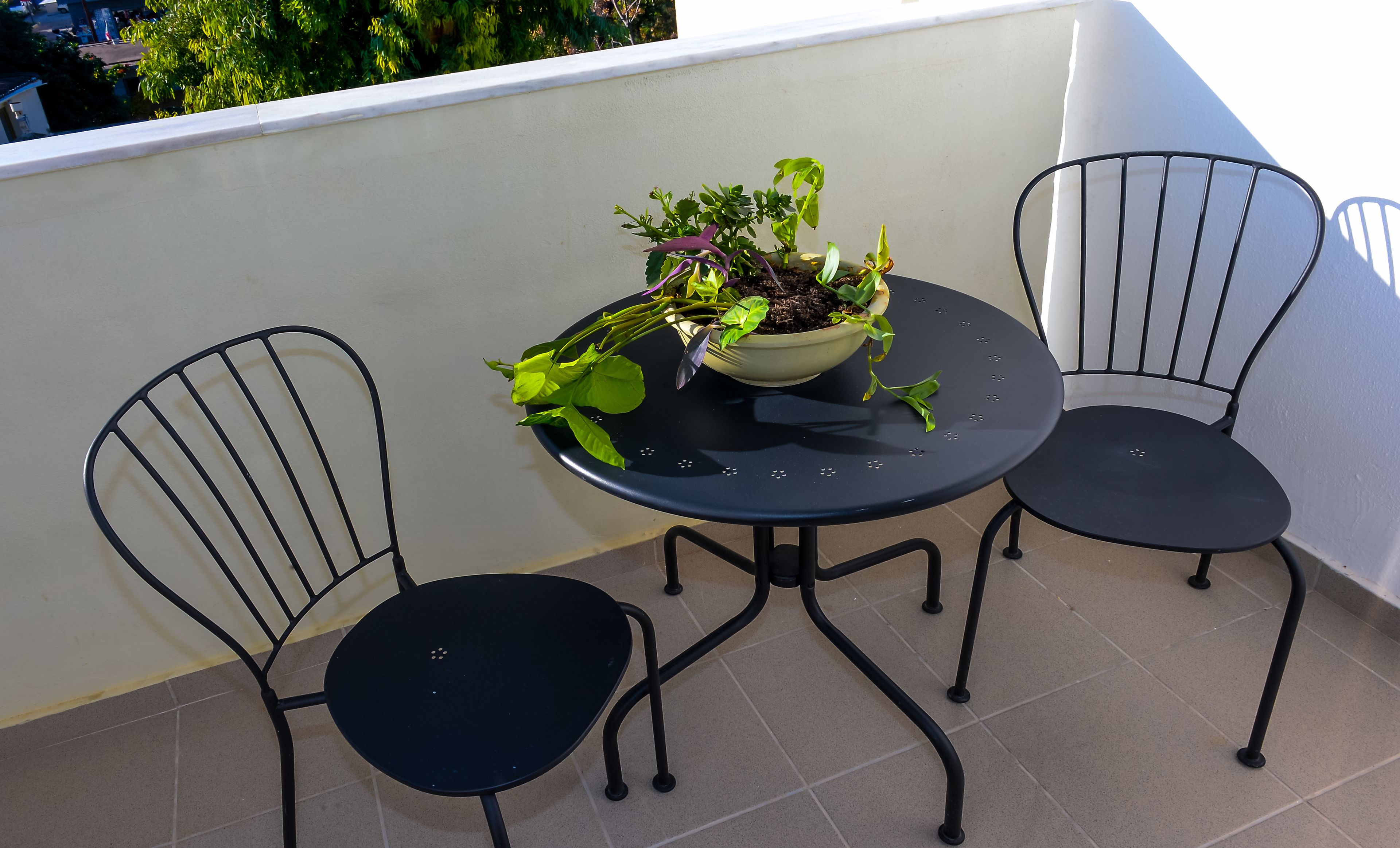 A small round table with two black metal chairs, a potted plant, and a white wall in the background.